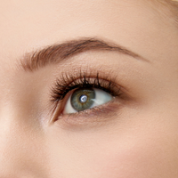 ELORA™  Soft Magnetic Lash Sweet Fox